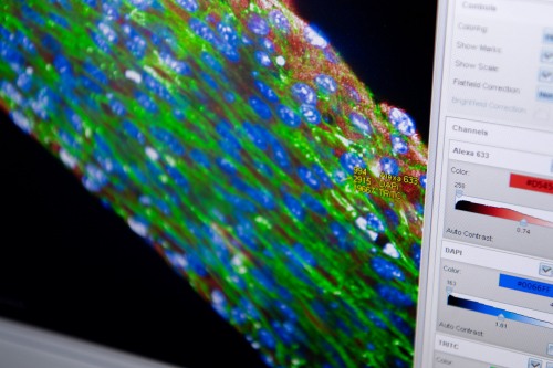 data on a computer