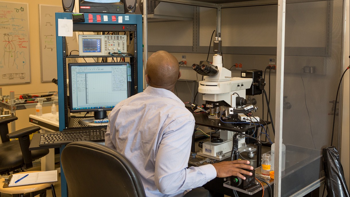 lab worker looking at a monitor